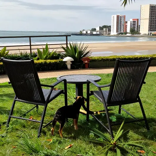 As Melhores Opções de Hospedagem Pet Friendly em João Pessoa As Melhores Opções de Hospedagem Pet Friendly em João Pessoa