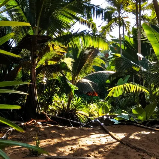 Atrações da APA da Barra do Rio Mamanguape
