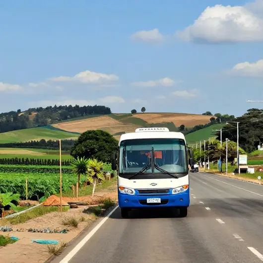 Como Viajar de Ônibus de Campina Grande a João Pessoa Como Viajar de Ônibus de Campina Grande a João Pessoa