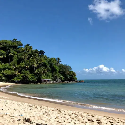 Coqueirinho: Um Paraíso Natural em João Pessoa - PB