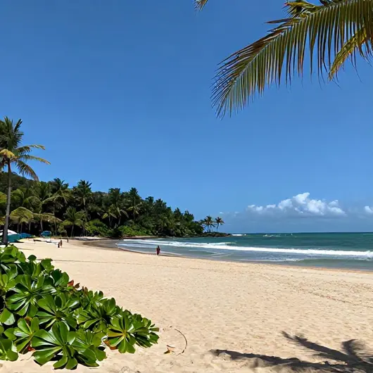 Descubra a Praia da Penha em João Pessoa: Uma Joia do Litoral Paraibano Descubra a Praia da Penha em João Pessoa: Uma Joia do Litoral Paraibano