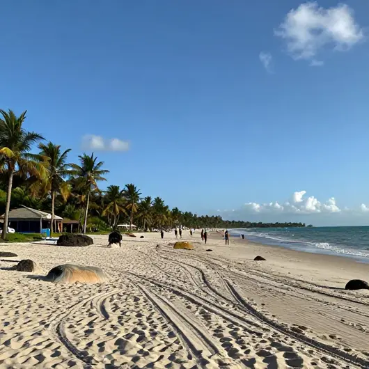 Descubra as Belezas da Praia de Camboinha em João Pessoa - PB