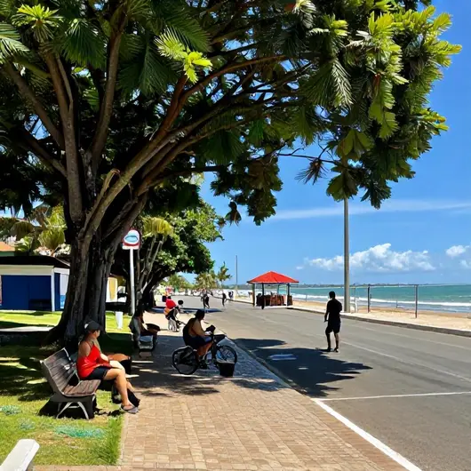 Descubra o Calçadão Da João Pessoa Descubra o Calçadão Da João Pessoa
