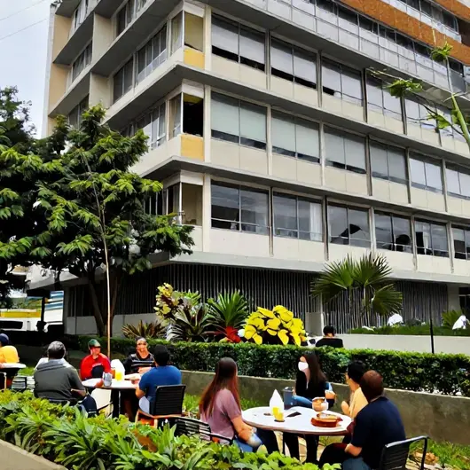 Descubra o Centro Helena Holanda