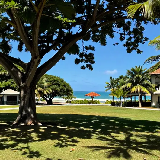 Descubra o Clube Cabo Branco