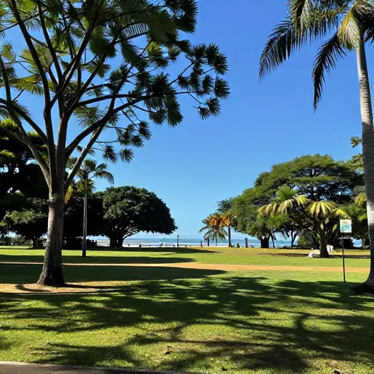 Descubra o Parque dos Tesouros