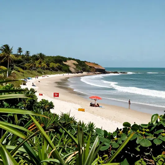 Descubra Tambaba: A Praia Perfeita para Relaxar em João Pessoa Descubra Tambaba: A Praia Perfeita para Relaxar em João Pessoa