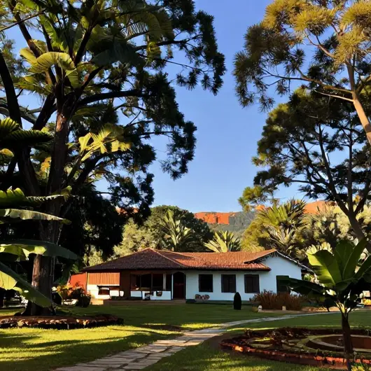 Descubra Teixeira de Carvalho