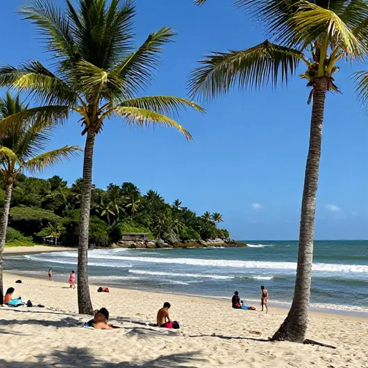 Entenda o Clima de João Pessoa: O Que Esperar Durante Sua Visita Entenda o Clima de João Pessoa: O Que Esperar Durante Sua Visita
