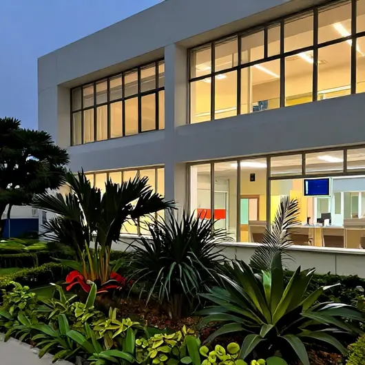 Hospital Veterinário 24h