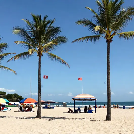 Melhores Praias Urbanas em João Pessoa: guia completo Melhores Praias Urbanas em João Pessoa: guia completo
