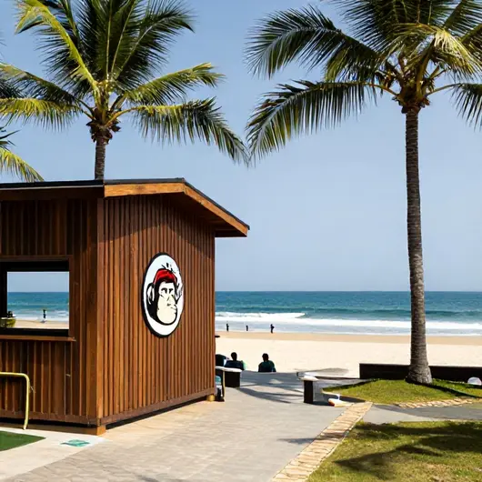 Monkey's Surf School: Aprendendo a Surfar com Estilo