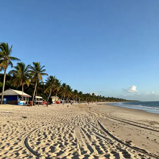 Praia de Manaíra: Um Paraíso à Sua Espera Praia de Manaíra: Um Paraíso à Sua Espera
