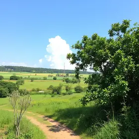 Sul Sul-Americano de Vôlei de Praia